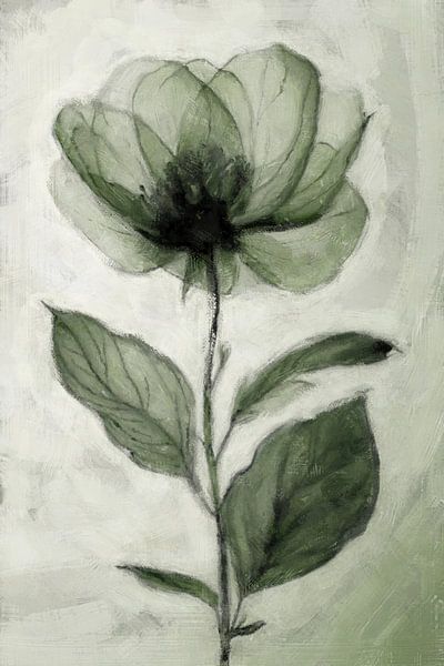 Simple Harmony | Green par Kanzo