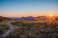 Sonnenuntergang Provence, Frankreich von Fenna Duin-Huizing Miniaturansicht