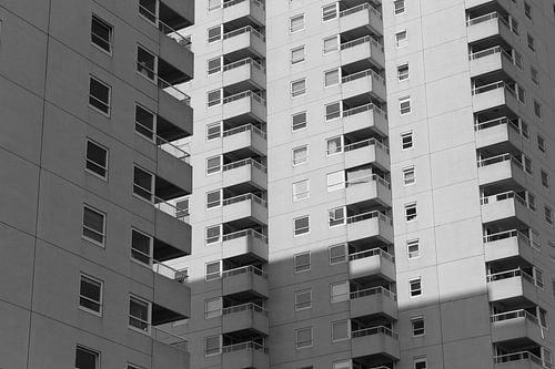 in der ersten Reihe von Frans Kuit