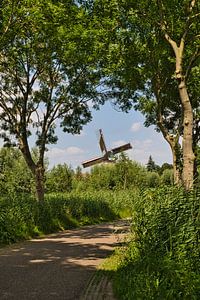 Der Weg zur Mühle
