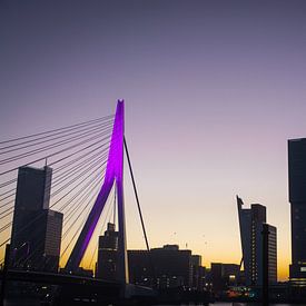 De Zwaan (Erasmusbrug) in Rotterdam met zonsondergang van Dennis Langendoen
