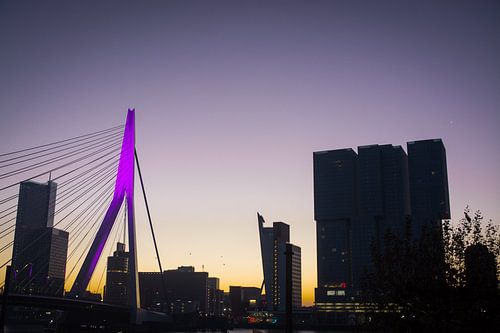 De Zwaan (Erasmusbrug) in Rotterdam met zonsondergang