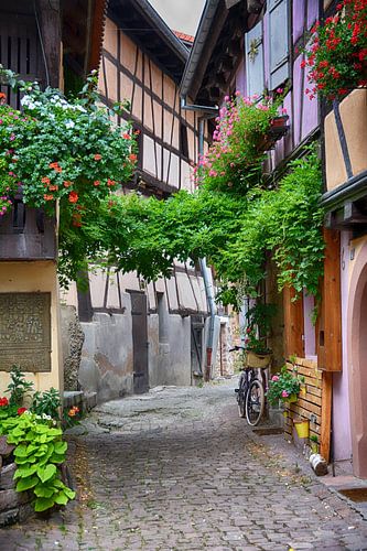 Riquewihr