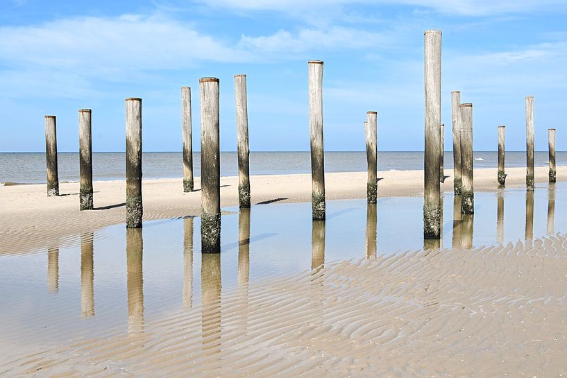 Plage des Pays-Bas par Caroline Guerain