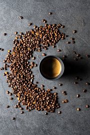 Coffee beans on natural stone by Jim Plaum