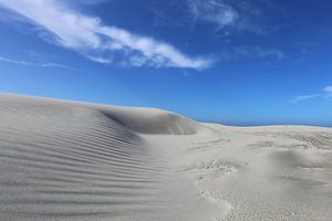 Shifting dune on beach