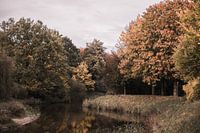Ein schöner Herbsttag im Stadtpark Gronau, Deutschland (3)