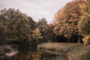 Een mooie herfstdag in het Stadtpark Gronau, Duitsland (3) van Ratna Bosch