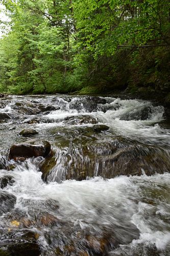 Een val in een rivier in de zomer