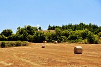 Toscane