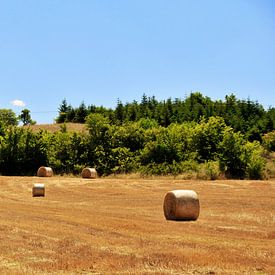 Toscane by Dennis Beentjes