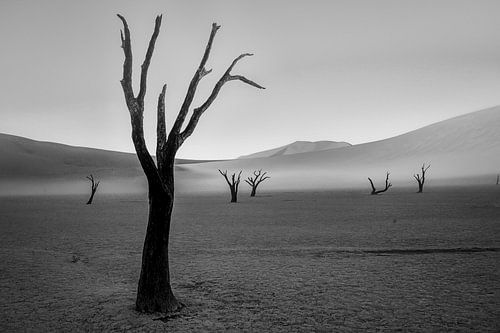 Deadvlei-02