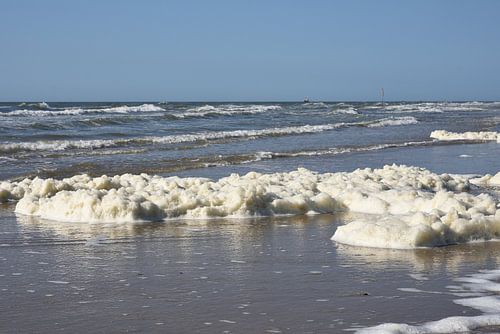 Nordseestrand mit Meeresschaum. von Wim Jacobs