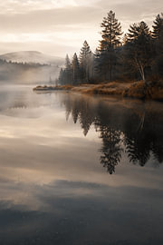 Silent Reflections – Paysage artistique d'un lac de forêt brumeux sur Design Wall Arts