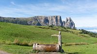 Blick auf den Schlern von der Seiser Alm