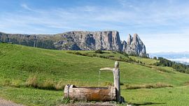 Blick auf den Schlern von der Seiser Alm