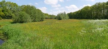 Hay meadows in the stream valley Het Oude Diep. by Wim vd Neut