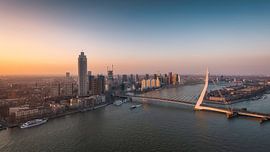 Die Erasmusbrücke im goldenen Licht
