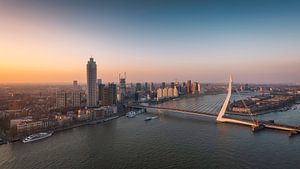 De Erasmusbrug in het gouden licht
