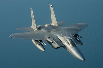 Amerikaanse Luchtmacht F-15 Eagle van Dirk Jan de Ridder