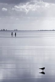 Crème glacée sur Rob van der Teen