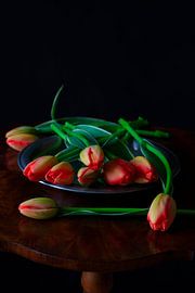 Tulips by Thomas Jäger