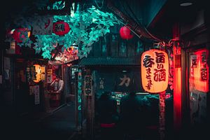 Steeg met restaurant and lampion in Tokyo van Mickéle Godderis