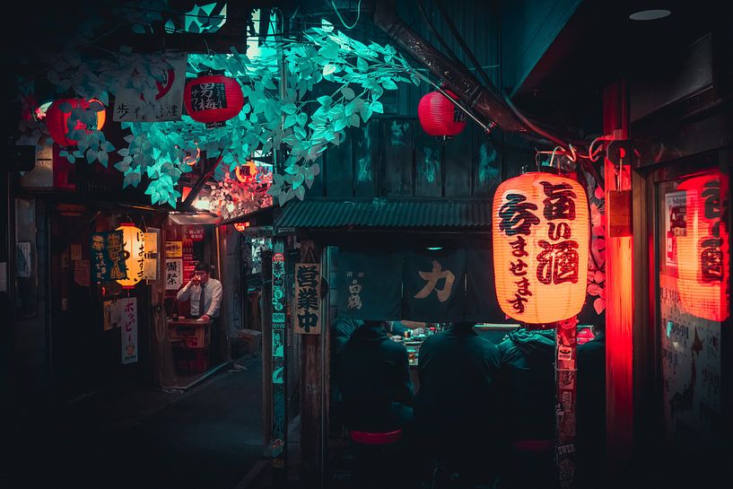 Lane with restaurant and lantern in Tokyo by Mickéle Godderis