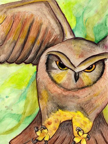 Eingehende Eule mit einem Ziel