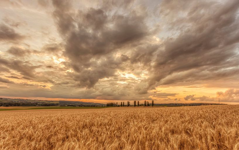 Zonsondergang bij de Eyser Heuvelrug par John Kreukniet