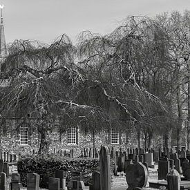 Church and cemetery Nuis (prov. Groningen) with weeping willow by R Smallenbroek