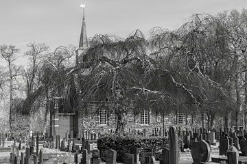 Église et cimetière de Nuis (prov. Groningen) avec saule pleureur