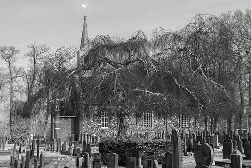 Kerk en begraafplaats Nuis (prov. Groningen) met treurwilg