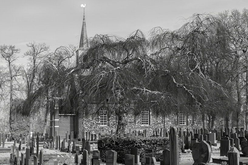 Church and cemetery Nuis (prov. Groningen) with weeping willow by R Smallenbroek