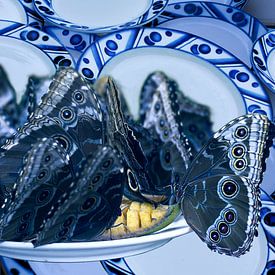 Blue Garden von True Color Stories