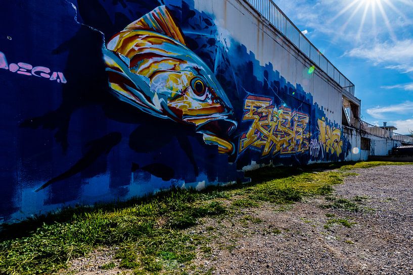 Pool Graffiti van Lorenzo Nijholt