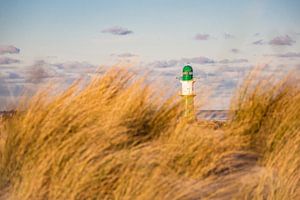 Blick auf die Mole in Warnemünde