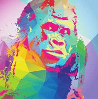 Gorilla, MultiColor