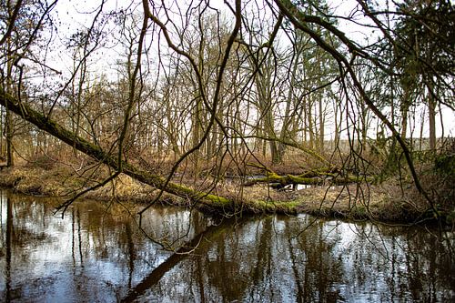 Takkenwerk, Swalmen, Roermond