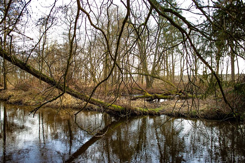 Zweigwerk, Swalmen, Roermond von Strooptocht.EU