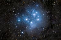Messier 45, ou les Pléiades
