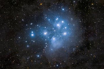 Messier 45, oder die Plejaden von Marco Verstraaten