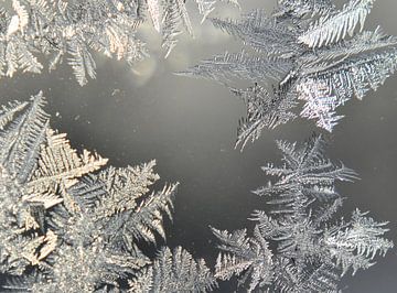 Frost in a window by Claude Laprise