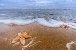 Star Beach van Richard Guijt Photography