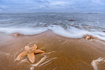 Star Beach by Richard Guijt Photography