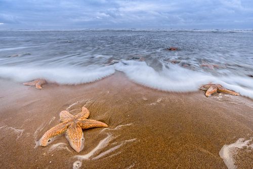 Star Beach van Richard Guijt Photography
