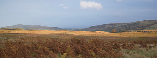 A Ribbon of Gold Across the Moor