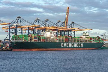 Containerschip Ever Globe van Evergreen. van Jaap van den Berg