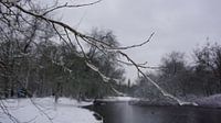 Sneeuwseizoen