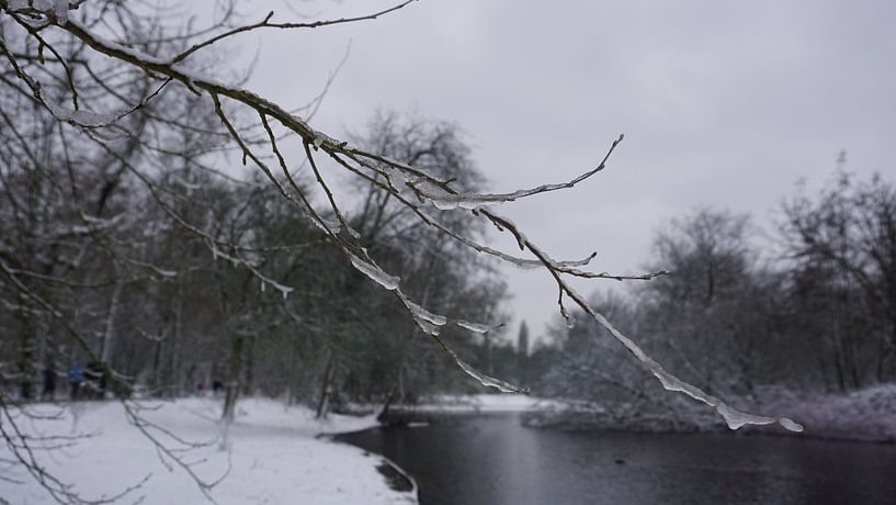 Sneeuwseizoen van fotograaf chaimaa